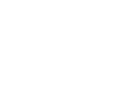 ASI values logo